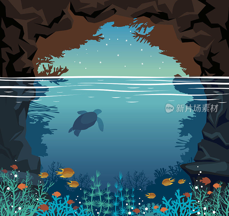Underwater coral reef, fish, sea, night sky, cave and turtle.